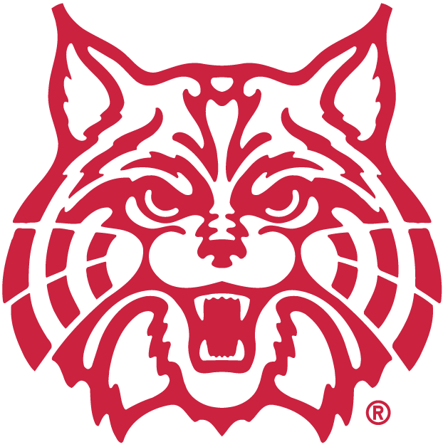 Arizona Wildcats 1990-Pres Alternate Logo v3 diy fabric transfer...